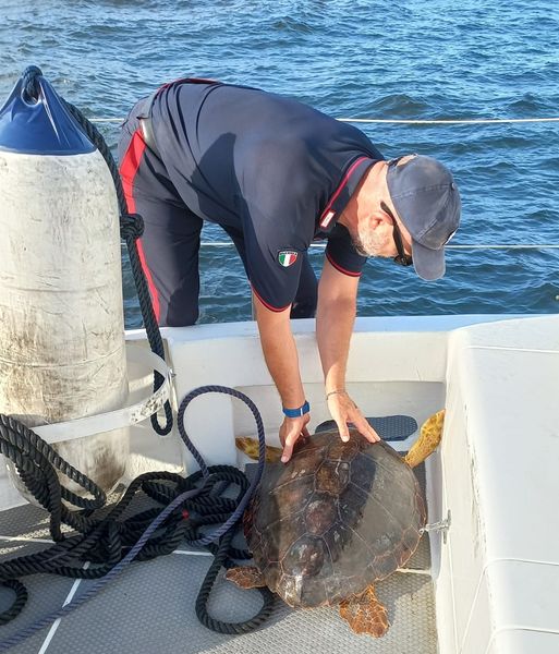 Tartaruga “caretta caretta” salvata dai Carabinieri nelle Isole Eolie
