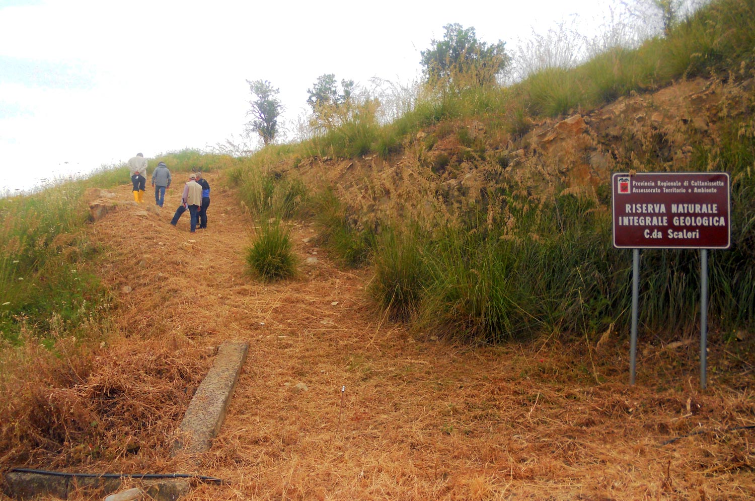 WWF Sicilia Centrale. Nell’ambito del progetto Si.v.a.n.n. liberato giovane volpe nella Riserva Naturale “Contrada Scaleri”