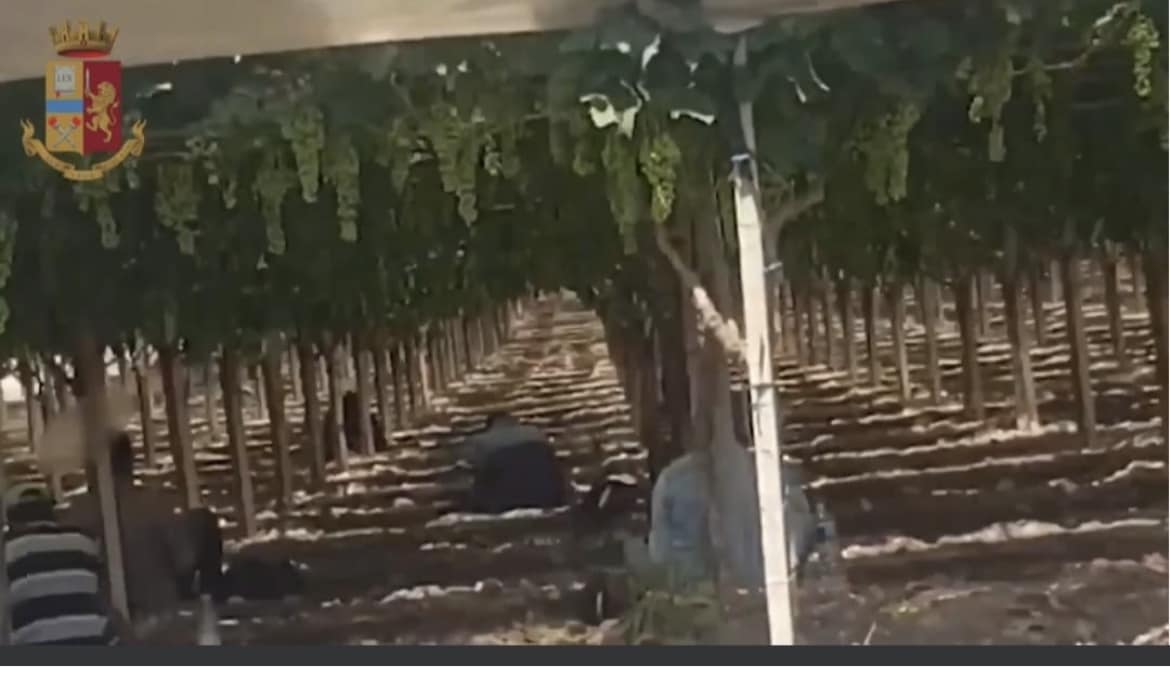 Caltanissetta. Il sindaco Gambino sull’operazione anti caporalato della Polizia: “Caltanissetta è la città dove è morto Adnan Siddique ed ogni atto di lotta al malaffare e al caporalato è anche un riconoscimento per la sua memoria”