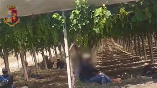 Caltanissetta, CGIL su caporalato: “illegalità diffusa, servono controlli e valorizzazione delle imprese sane”