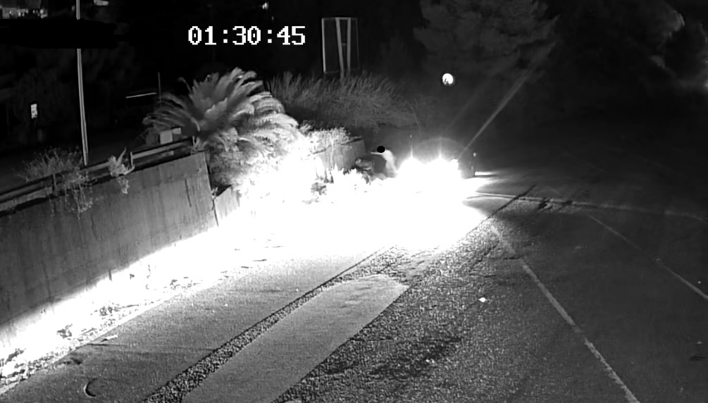 Sicilia, rifiuti abbandonati in autostrada: multe agli “ecovandali” incastrati dalle video-trappole