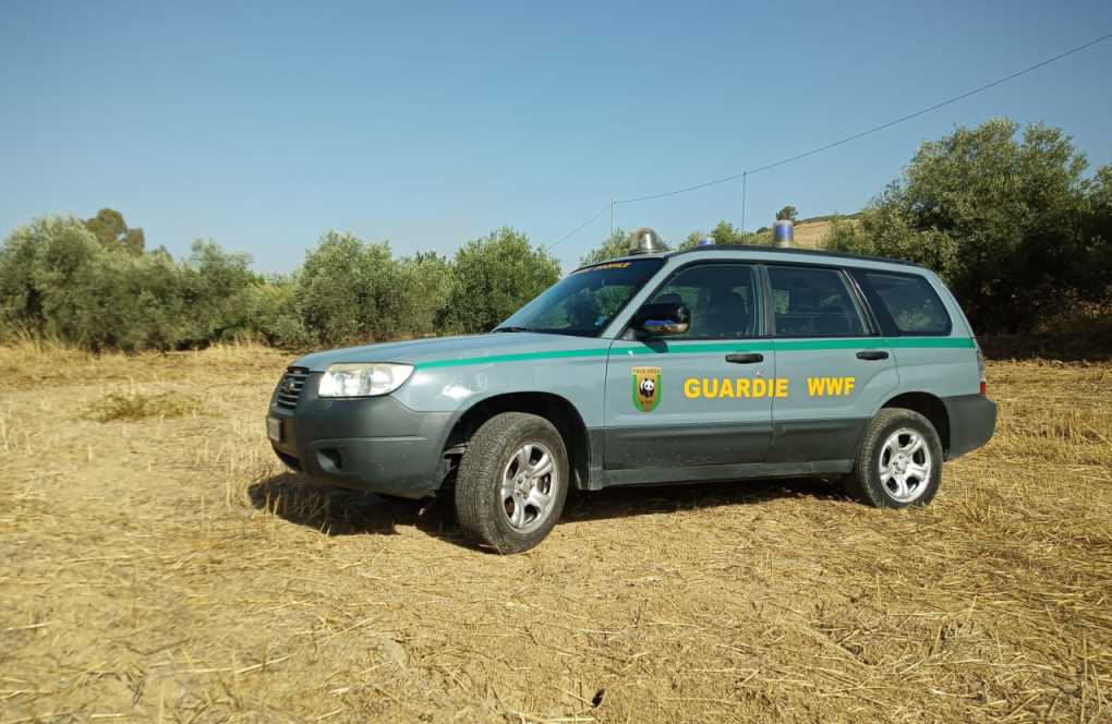 Caltanissetta, WWF contro il bracconaggio: controlli del territorio delle Guardie Giurate