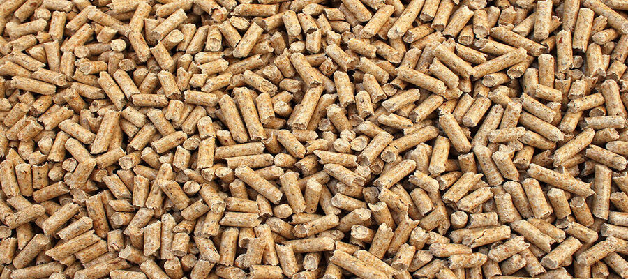 Falsa vendita di pellet: sequestrato e oscurato dalla Polizia sito web di un’attività commerciale inesistente