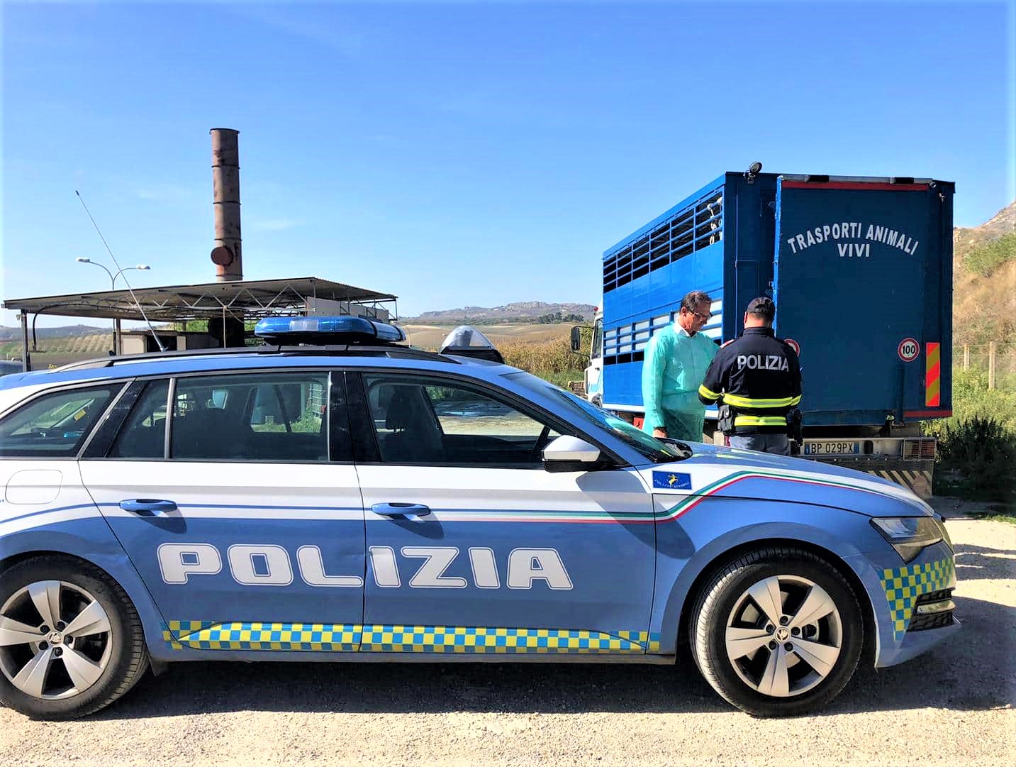 Caltanissetta. Controlli della Polizia Stradale ad autocarri che trasportano animali vivi