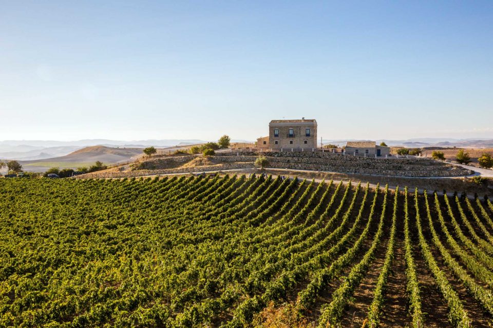 San Cataldo. Ribalta a New York per le Tenute Lombardo al Simply Italian Great Wines USA 2022