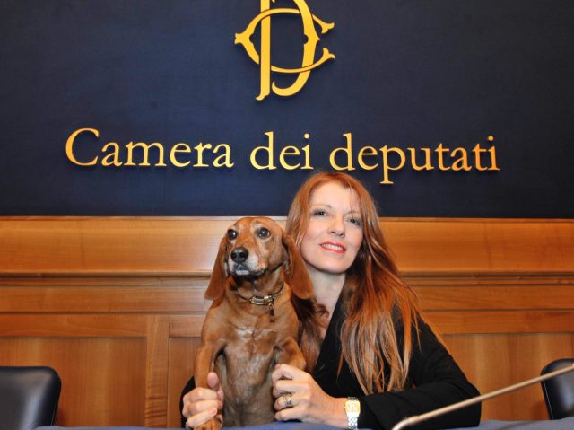 Caltanissetta, venerdì Michela Brambilla e Lidl Italia doneranno 11 tonnellate di cibo per cani e gatti