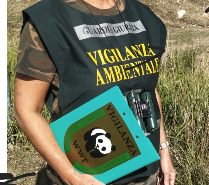 Caltanissetta, guardie WWF trovano cani senza microchip e irregolarità edilizie