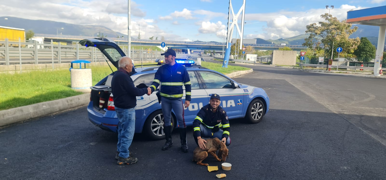 Cagnolina di piccola taglia vagava impaurita sull’A/1: rintracciata e salvata dalla Polizia Stradale