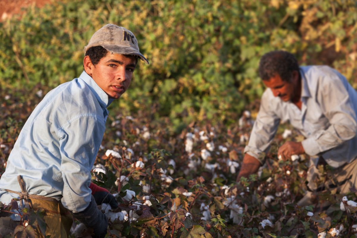 Lavoro, sei nuovi progetti contro il caporalato e lo sfruttamento al Sud