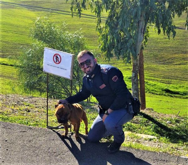 Caltanissetta, polizia salva cucciolo di pitbull sulla SS640