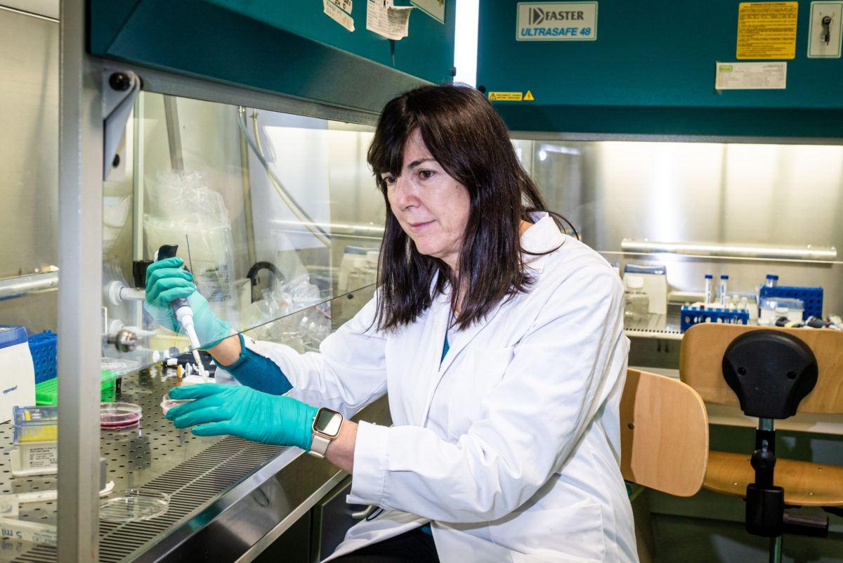 Gela, al Vittorini una videoconferenza dalla Bicocca sulla prevenzione alimentare con la ricercatrice Albini