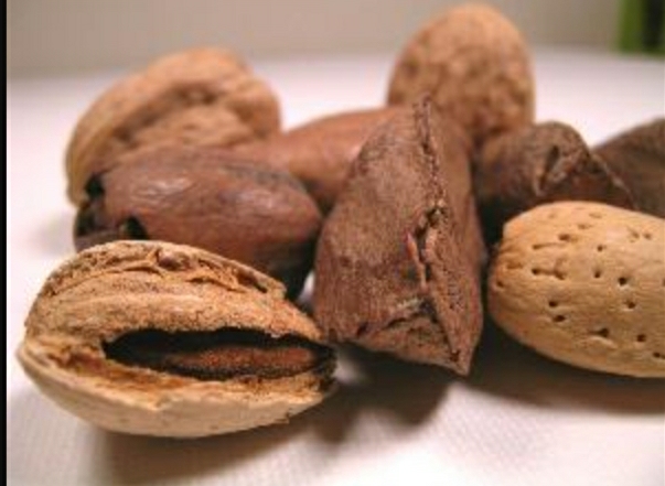 Sicilia, pubblicate le graduatorie del Psr per florovivaismo e frutta in guscio