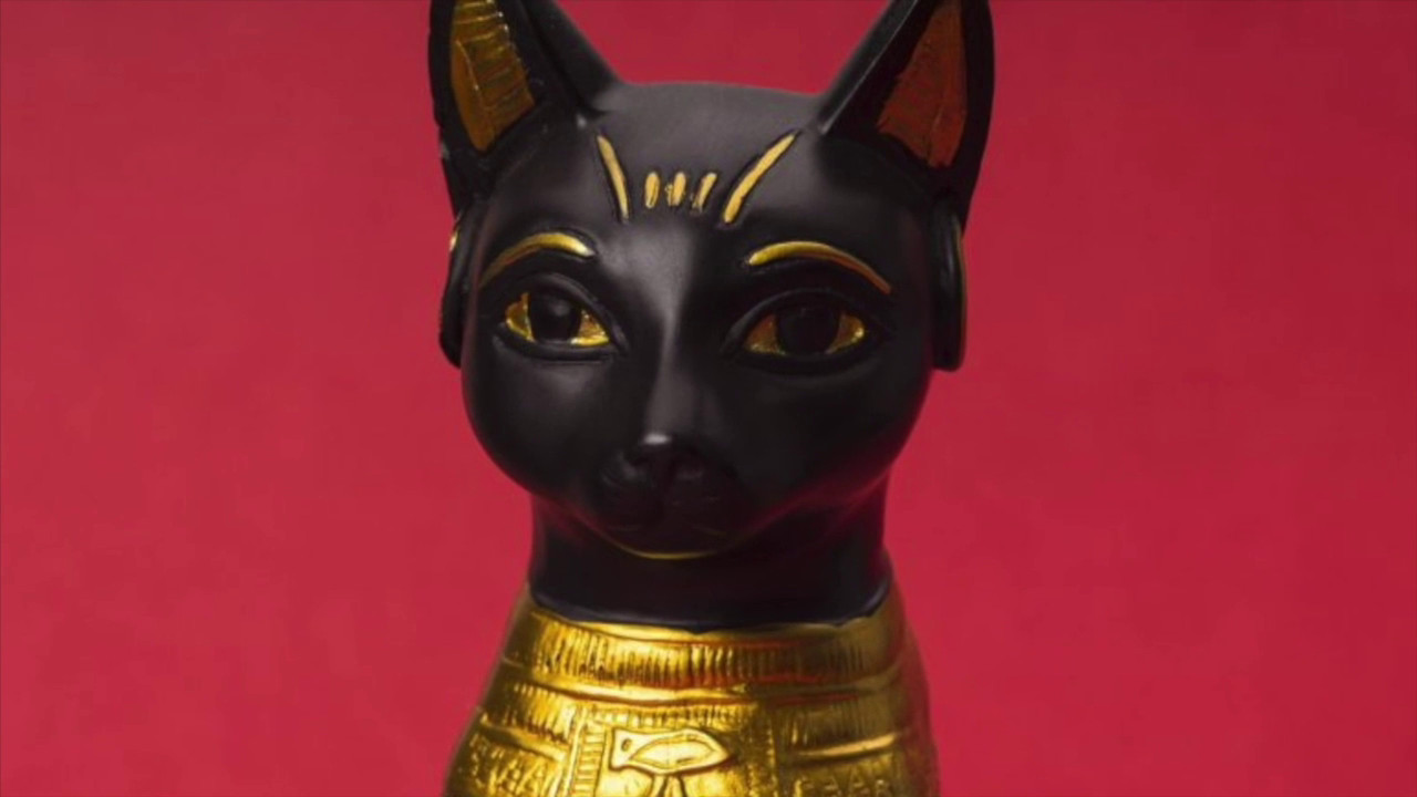I gatti e l’antico Egitto, una Tac alla mummia per conoscere i segreti
