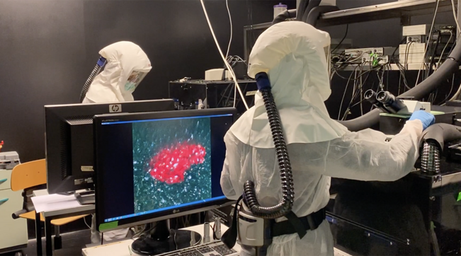 Sicilia, Covid: scendono drasticamente i dati sui nuovi contagi