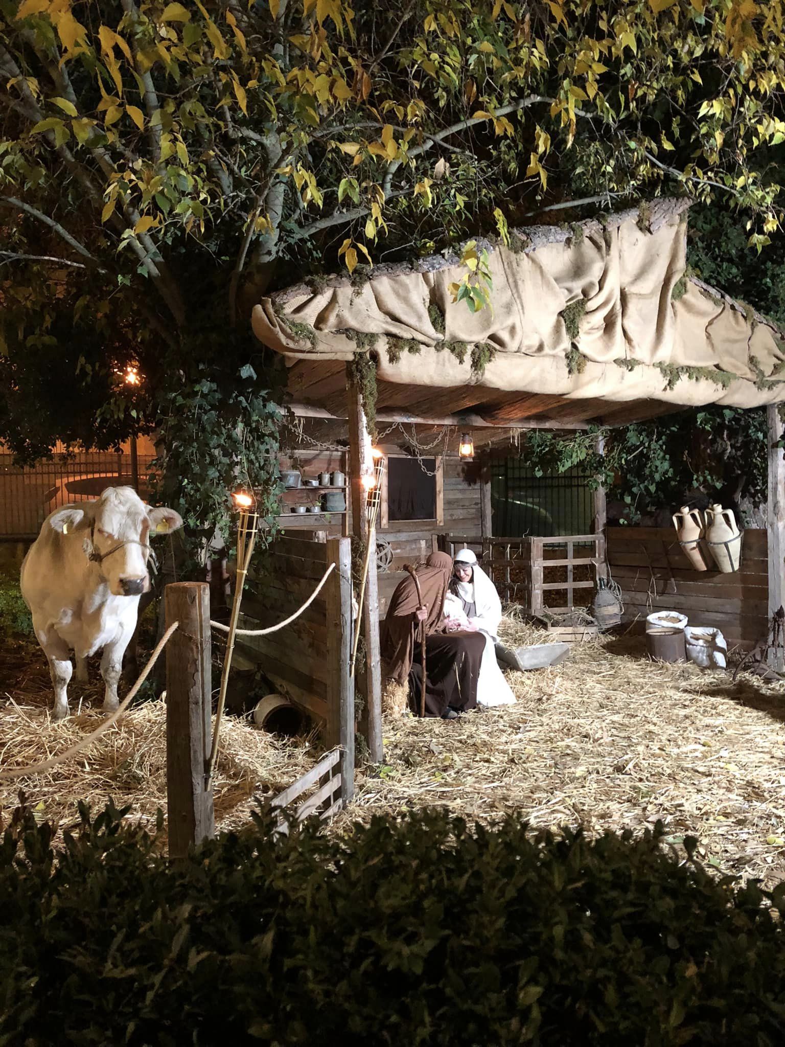 Santa Caterina. Per l’Epifania ultimo giorno di apertura del presepe vivente