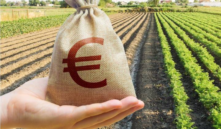 Caltanissetta: avviato l’iter regionale per gli aiuti alle imprese agricole colpite dal maltempo