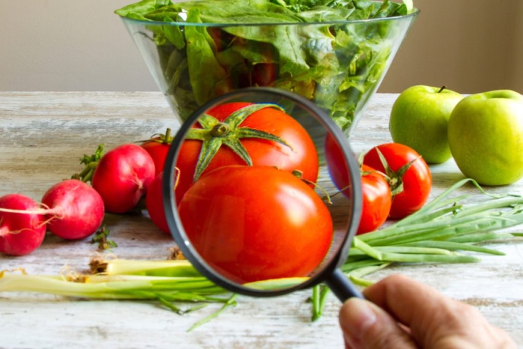 Caltanissetta, il 24 febbraio corso di formazione su salute sul lavoro e sicurezza alimentare