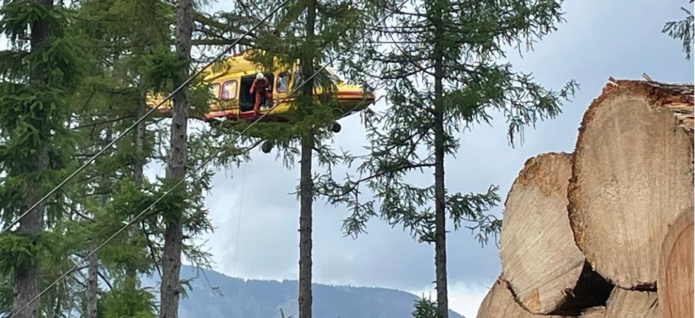 Tragedia sul lavoro: boscaiolo 25enne travolto e schiacciato da un albero
