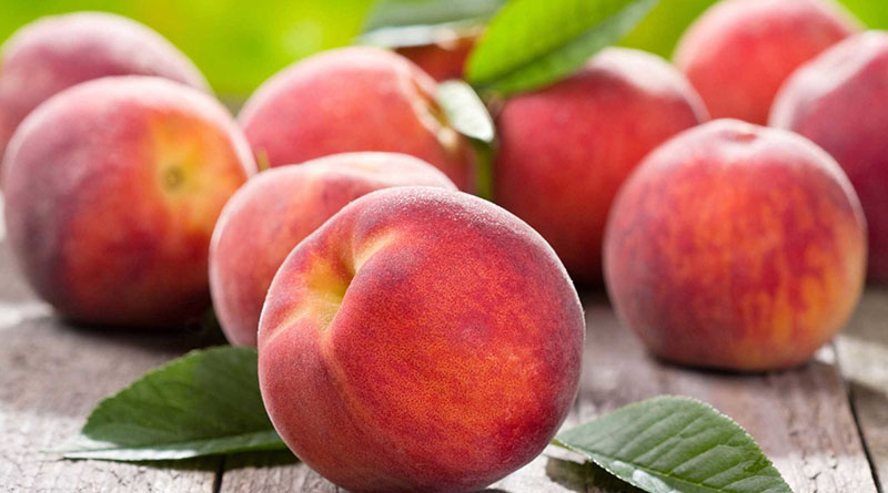 Sono ufficialmente aperte le iscrizioni per la commercializzazione con marchio di qualità europeo delle Pesche di Delia IGP