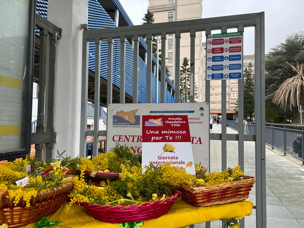 Caltanissetta, “Una mimosa per te”: oggi il S.Elia accoglie le donne con un fiore