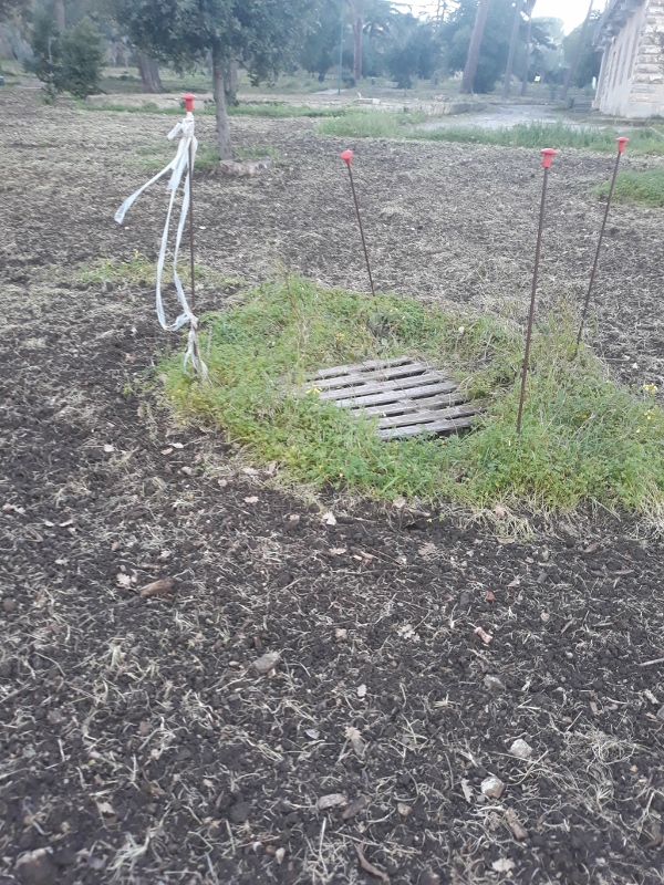 Caltanissetta. Segnalata buca potenzialmente pericolosa nel Parco Dubini