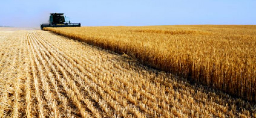 Agroalimentare, Sammartino: «La Regione punta al marchio Dop per la pasta di grano duro siciliano»