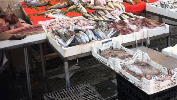 Sicilia: 230 kg pesce avariato, sanzioni per oltre 11mila euro