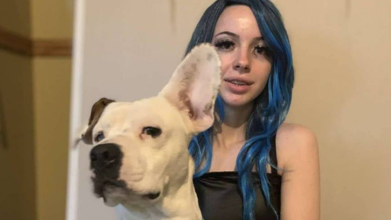 Usa, 19enne ha rapporti sessuali con il suo cane e posta il video sui  social: arrestata - il Fatto Nisseno - Caltanissetta notizie, cronaca,  attualità