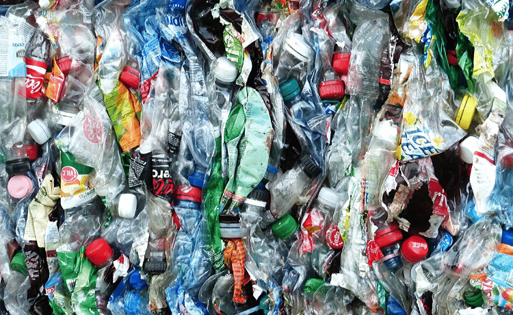 Palermo. Parte sabato la campagna dell’Autorità di bacino per liberare sei fiumi siciliani dalle plastiche