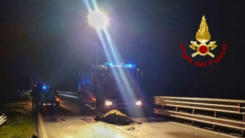 Incidente sulla Siracusa-Catania, 4 feriti e due mucche morte
