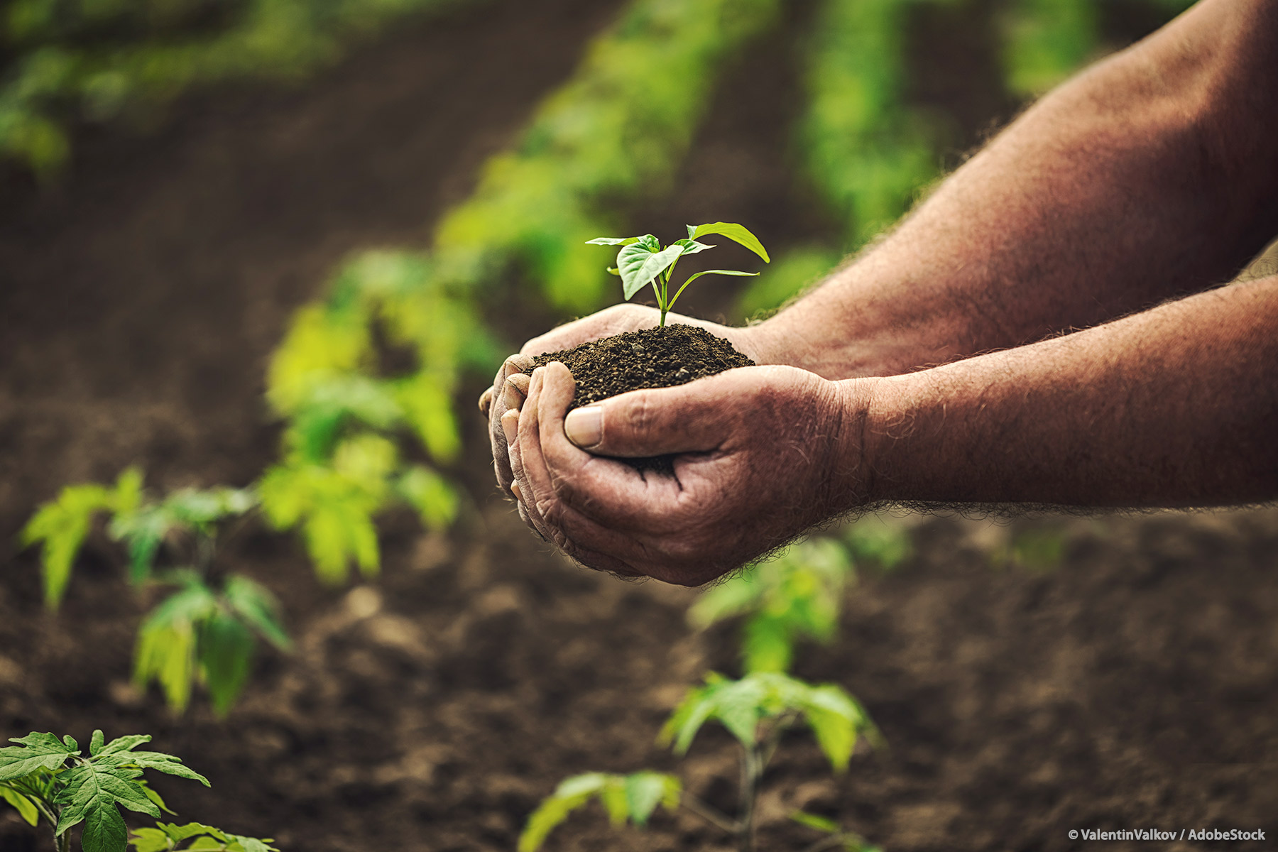 Sommatino. Il 29 aprile alla Domus Misericordiae convegno sulla nuova PAC 2023/2027