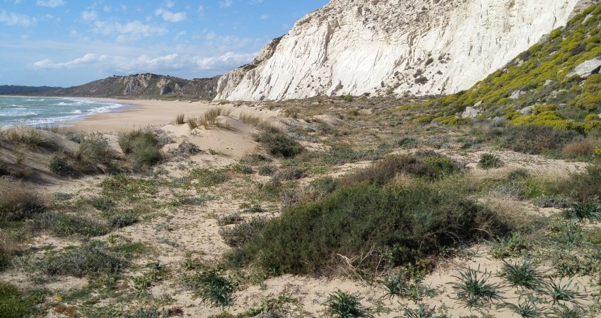 Sicilia: tornano le “Giornate delle oasi del WWF” con eventi speciali e aperture straordinarie