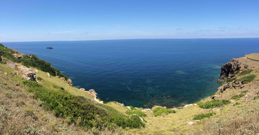 Clima, studiare gli insetti per monitorare l’habitat delle piccole isole siciliane