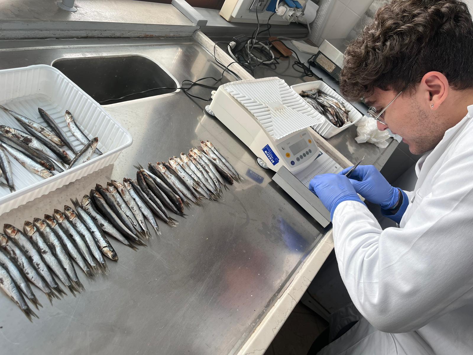 Caltanissetta, studenti del Russo a Capo Granitola: 3 giorni di attività nell’ambiente biomarino