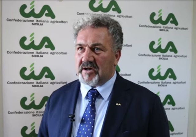 Danni maltempo in Sicilia. Scardino (Cia Sicilia) scrive all’assessore Sammartino: “Attivare tutte le misure ed i fondi per ristoro dei danni”