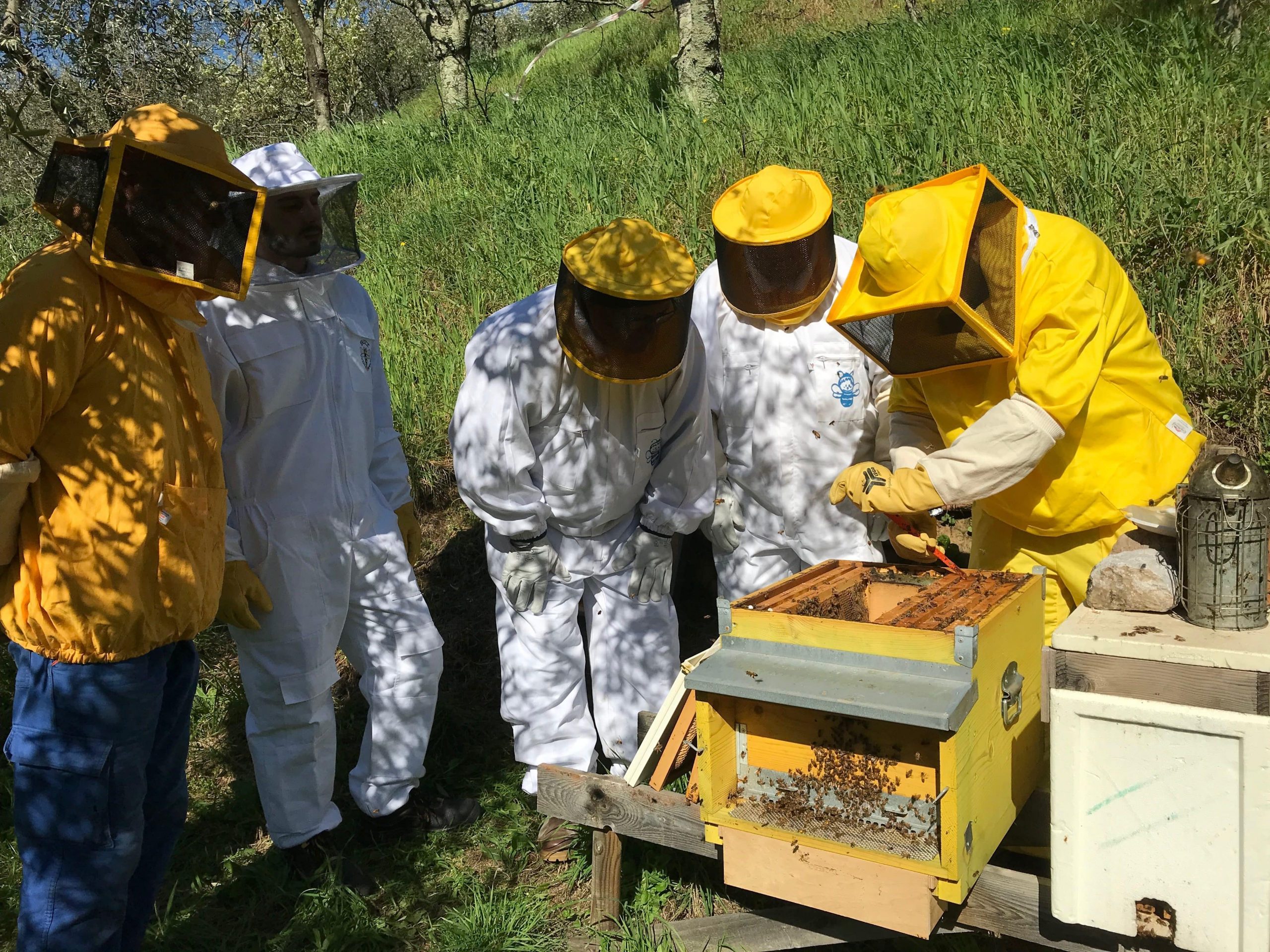 Mussomeli, Palazzo Sgadari: Corso per apicoltori 3 giugno