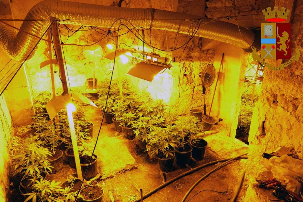 Laboratorio di droga scoperto dalla Polizia di Stato: arrestate due persone e sequestrati 147 kg di  marijuana