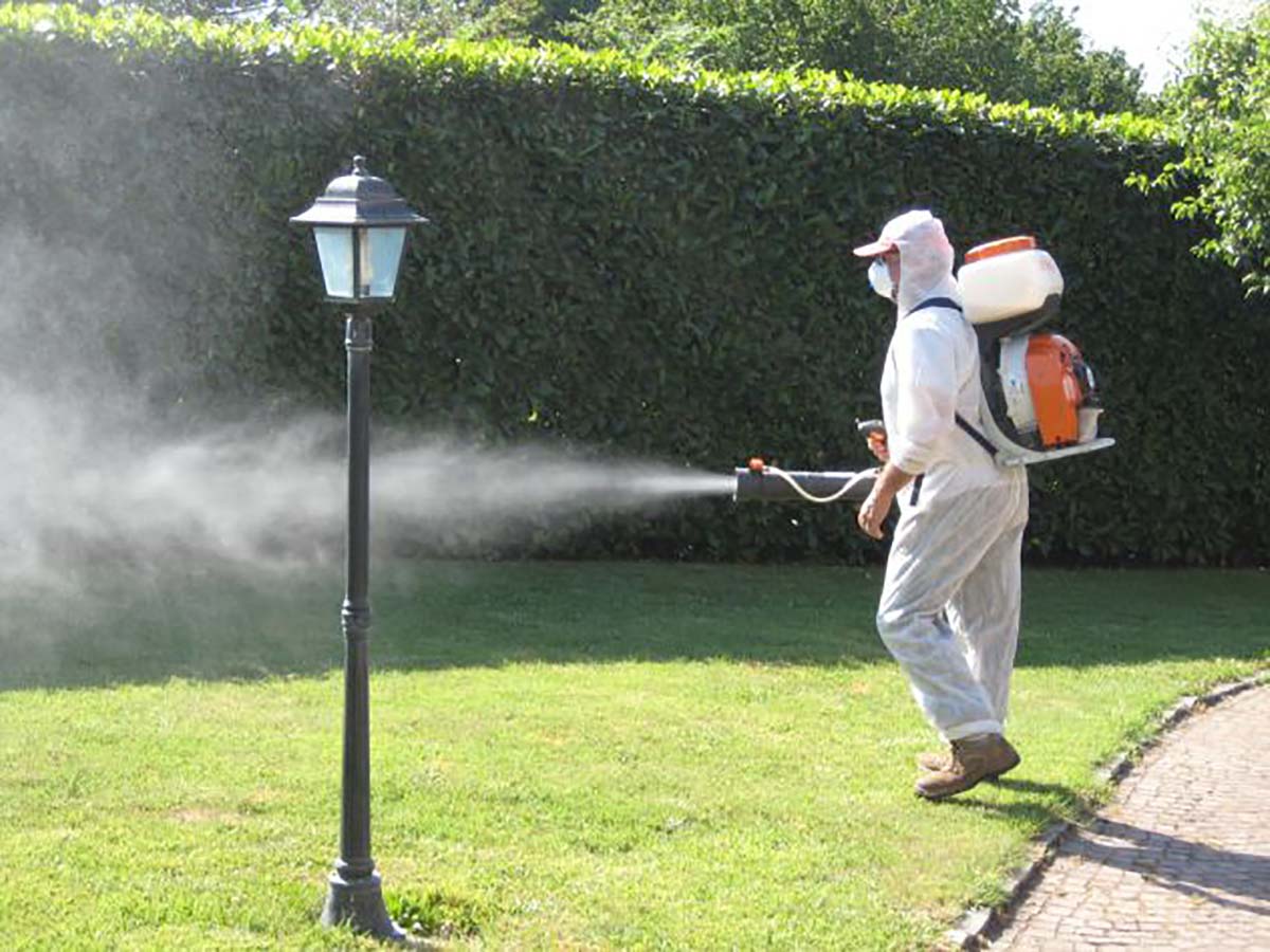 Caltanissetta. Entro il 21 giugno completata disinfestazione del centro abitato; da lunedì al via la derattizzazione