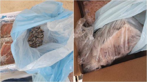 Tir trasportava pesci e molluschi senza impianto frigorifero. Polizia Stradale e Asp ne hanno disposto sequestro e distruzione