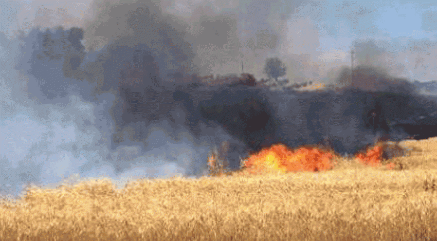 Caltanissetta, Emergenza roghi: rafforzata la strategia di prevenzione