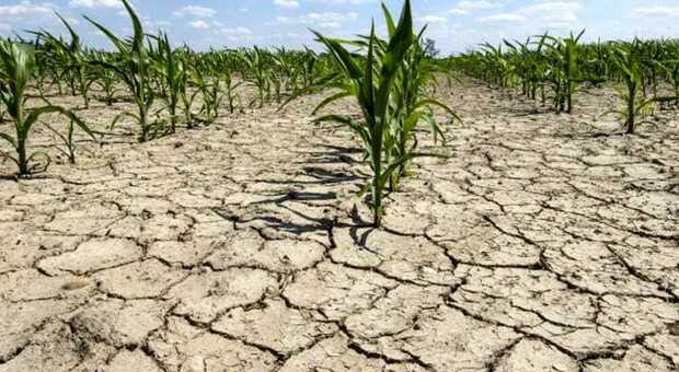Allarme siccità in Sicilia e Sardegna: razionamento idrico anche a Caltanissetta