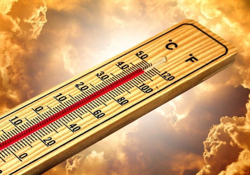 E’ ufficiale: Clima da record. In Sicilia confermati i 48,8°C. A dichiararlo è l’Organizzazione meteorologica mondiale