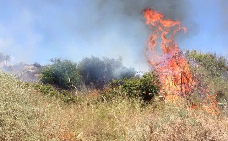 Incendi in Sicilia, il Sinalp: “L’inerzia istituzionale brucia il nostro futuro”