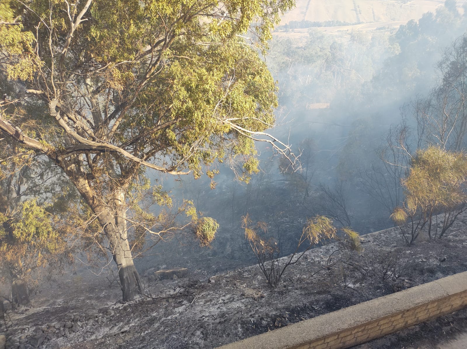 Incendio a Caltanissetta, da ore è emergenza nei pressi di via Xiboli