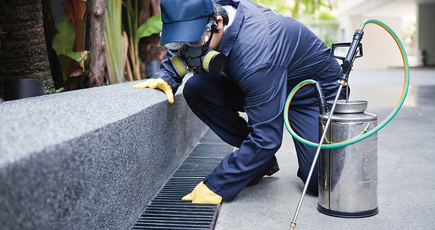 Caltanissetta. Nuovo intervento di derattizzazione in tutta la città: ecco le zone coinvolte dal 4 all’11 agosto