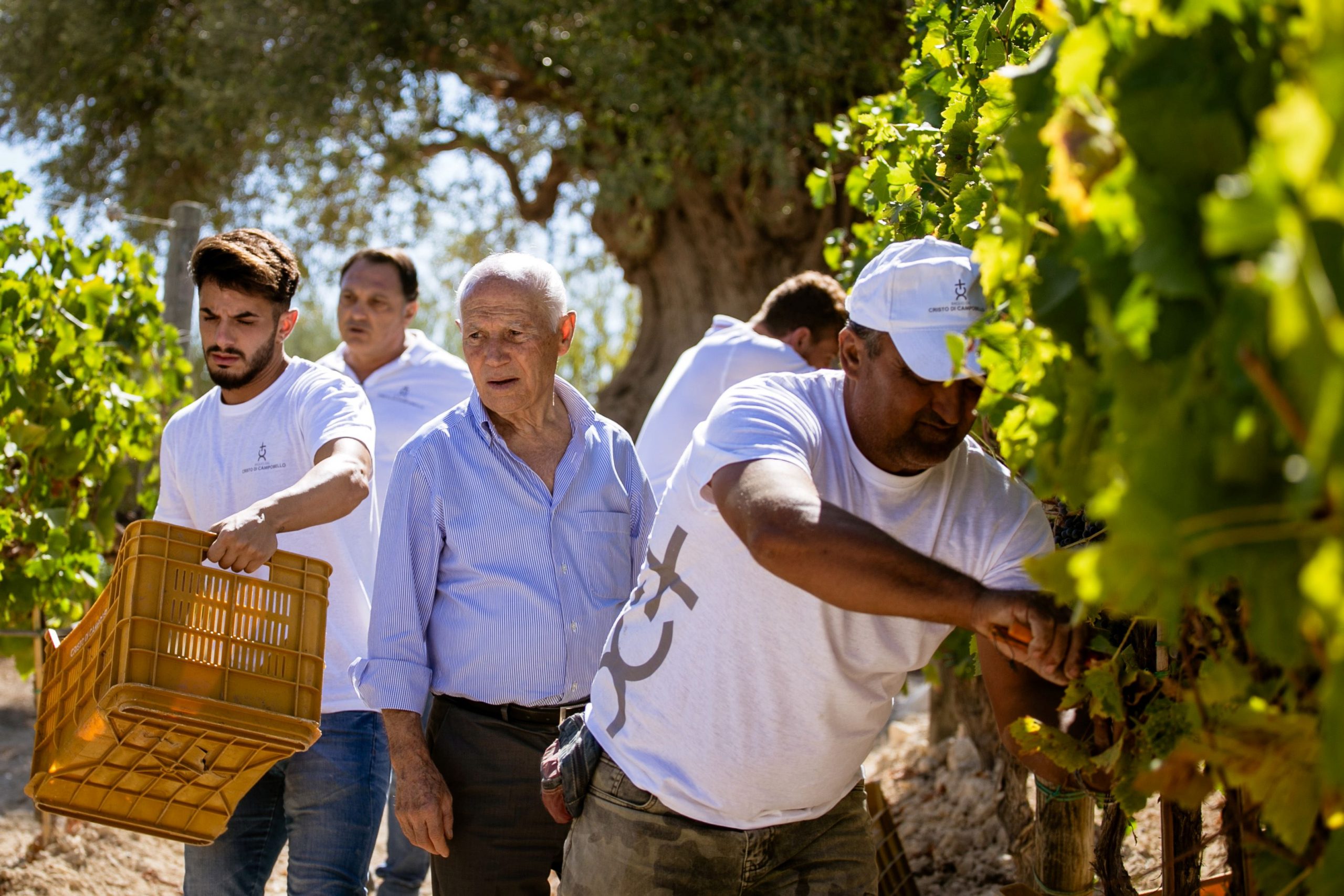 Cristo di Campobello Extra Brut Rosato di Nero d’Avola “Miglior Metodo Classico Rosato” a Sicilia in Bolle 2023