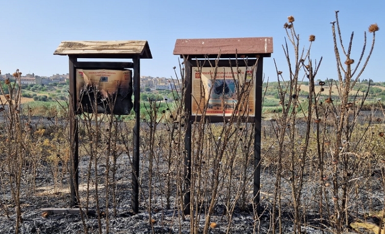 Riserva naturale “Lago Soprano”, le fiamme hanno distrutto 20 ettari. WWF: “Aprire indagine per disastro ambientale”