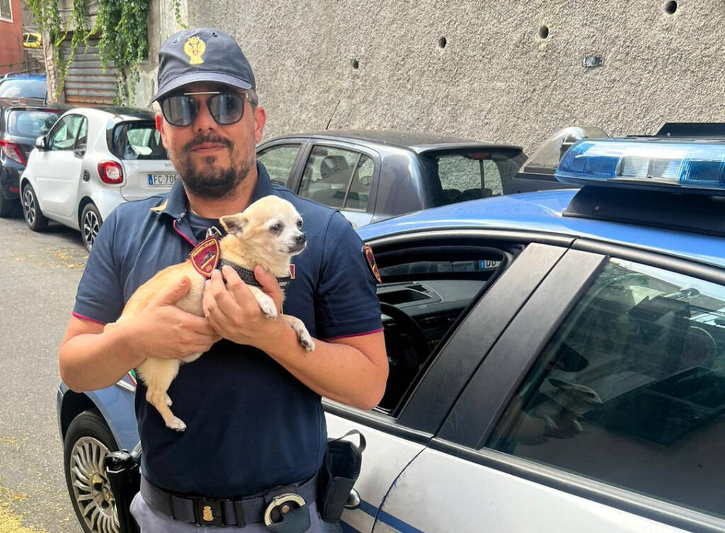 Cane sventa furto in alloggio dei suoi proprietari e viene premiato simbolicamente dai poliziotti con distintivo