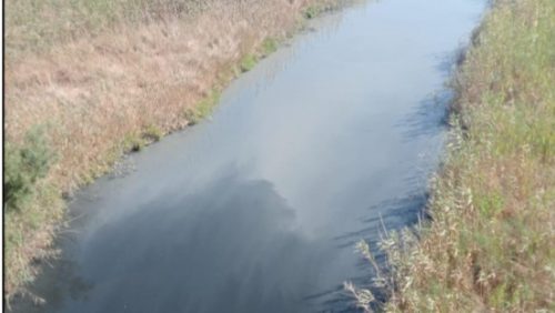 Gela e “il mistero della puzza di pesce putrefatto” tra danni ambientali e lentezza istituzionale