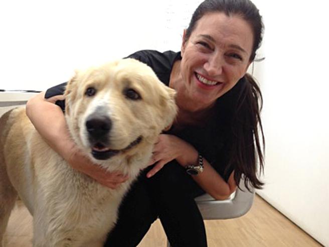 Elisabetta Franchi: “Multe fatele a chi maltratta i cani” La stilista su Instagram dopo avere ricevuto sanzione
